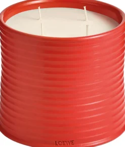New LOEWE Tomato Leaves Candle Dufte Til Hjemmet
