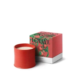 New LOEWE Tomato Leaves Candle Dufte Til Hjemmet