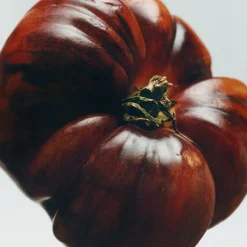 Hot LOEWE Tomato Leaves Large Soap Bar Hånd- Og Fodpleje