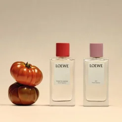 Loewe Perfumes Dufte Til Hjemmet><noscript><img width=