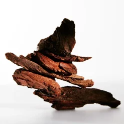 Hot LOEWE Un Paseo por Madrid Debod Eau de Parfum 100 ml Dufte & Deodoranter|Parfumer & Dufte