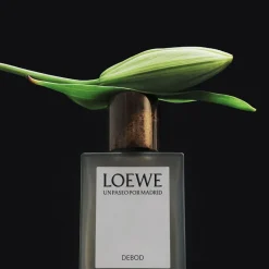 Hot LOEWE Un Paseo por Madrid Debod Eau de Parfum 100 ml Dufte & Deodoranter|Parfumer & Dufte