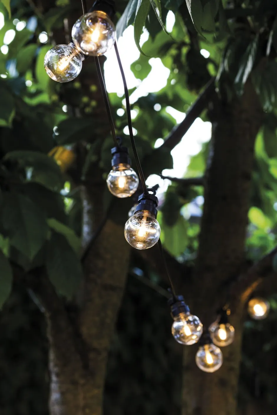 Clearance Lucas supplement set, Clear, 3m Lyskæder