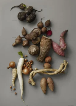 New MAD/PLAKAT - Grå rødder- pl Plakater & Rammer