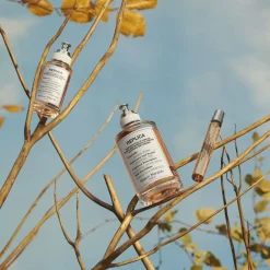 Replica Autum Vibes Eau De Toilette-Maison Margiela Outlet