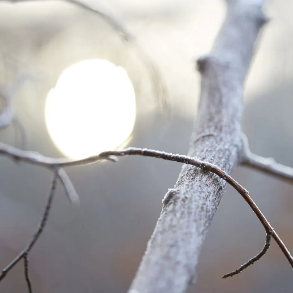 Replica By the Fireplace-Maison Margiela Clearance