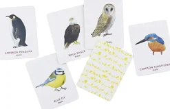 Børn New Mags Spil & Puslespil>Match a pair of Birds