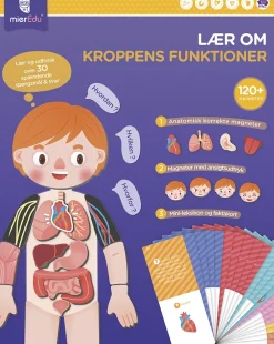Sale - Magnetisk legesæt - Lær om kroppens funktioner Børn Kreativitet