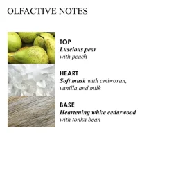 New MILK MUSK BODY LOTION Kropspleje