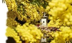 Jo Malone London Eau De Cologne><noscript><img width=