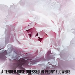 DIOR Hair Mist|Body Mist><noscript><img width=