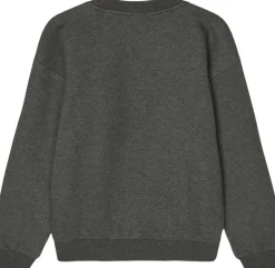 Mix Sweat Sonar Sweatshirt Børn Overdele