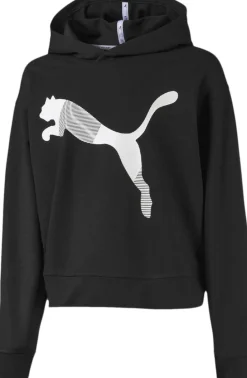 Børn Puma Sweatshirts & Træningstrøjer>Modern Sports Hoodie