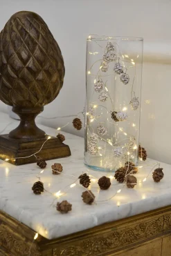 Molly kogler sne 20L-Sirius Outlet