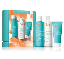 Repair Spring Box-Moroccanoil