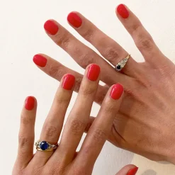 Sacred Lotus-Nailberry New