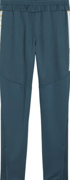 Børn Puma Tights & Træningsbukser>NEYMAR JR CREATIVITY TRAINING