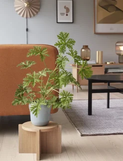 Nomad Plant Stand Natural-Hübsch