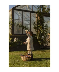 - Bidering - Margarita the Daisy-Oli & Carol Discount