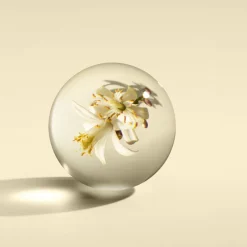 Molton Brown Hånd- Og Fodpleje><noscript><img width=