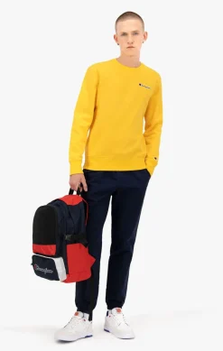 Hot Organic Cotton Blend Small Script Logo sweatshirt Trøjer & Sweatshirts|Sport