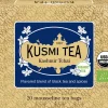 Organic Kashmir Tchai - Box of 20 mousseline tea bags - 40gr-Kusmi Tea Best