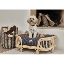 Best Otto Hunde Reblegetøj Til Boligens Kæledyr