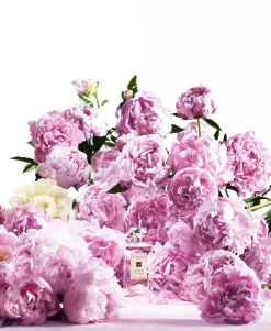 Peony & Blush Suede Cologne-Jo Malone London Best
