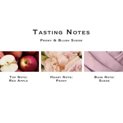 Peony & Blush Suede Scented Classic Candle-Jo Malone London Hot