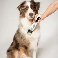 Beurer Til Boligens Kæledyr><noscript><img width=