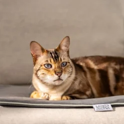 Clearance PetCare PP 210 Lilli Varmemåtte til kæledyr 41x34 cm Til Boligens Kæledyr