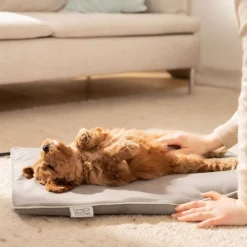 Clearance PetCare PP 210 Lilli Varmemåtte til kæledyr 41x34 cm Til Boligens Kæledyr