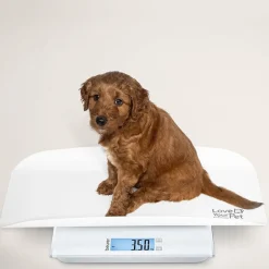 Discount PetCare PP 170 Polly Multifunktionsvægt til kæledyr Til Boligens Kæledyr