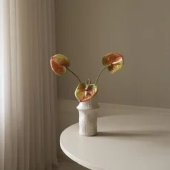 Pink Medium Anthurium Flower-Botané Hot