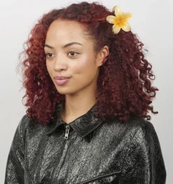 Plumeria Hawaii Big-SUI AVA