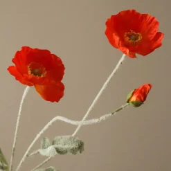 Poppy Flower-Botané Outlet