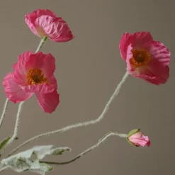 Poppy Flower-Botané Outlet