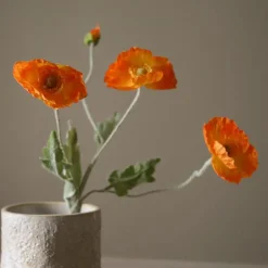 Poppy Flower-Botané Outlet