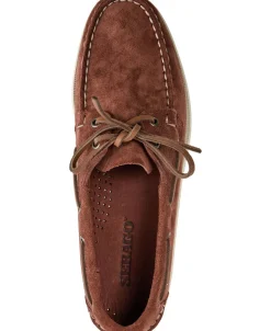 Portland Flesh Out-Sebago