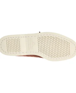 Portland Flesh Out-Sebago