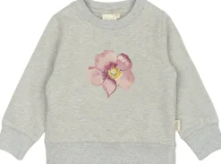 Sale ppDov Sweat shirt Børn Overdele