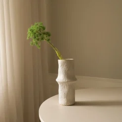 Queen Anne's Lace Flower-Botané Online