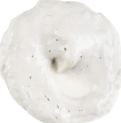 Rare Earth Deep Pore Daily Cleanser 75 ml.-Kiehl's Online