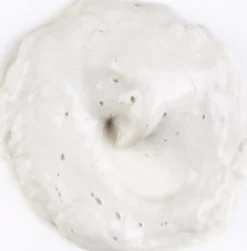 Rare Earth Deep Pore Daily Cleanser 75 ml.-Kiehl's Online