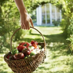 Online REPLICA From the Garden Eau de Toilette Eau De Toilette