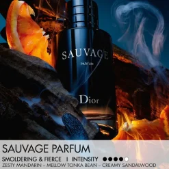 Sauvage Parfums Travel Spray 30ML INT25-DIOR Sale