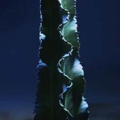 DIOR Hudpleje|Hudpleje><noscript><img width=