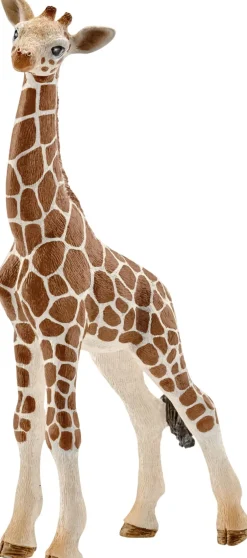 Børn Schleich Legetøjsfigurer>Sch Giraffe calf