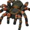 Sch Tarantula-Schleich New