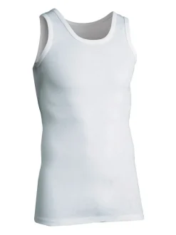 Singlet-JBS Online